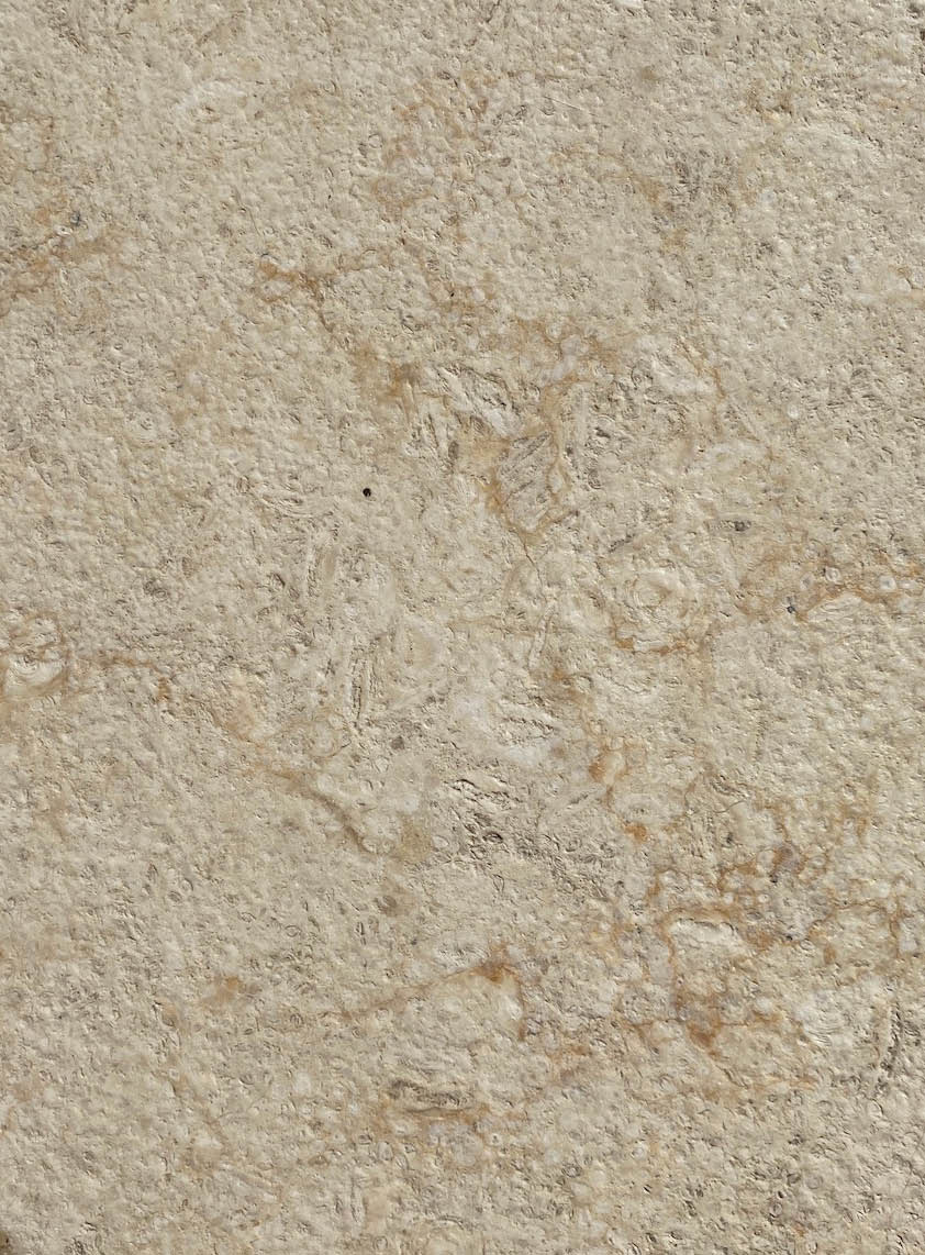 Rectangle